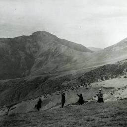 NoradesPlateaux's profile picture. Au pays des volcans d'Auvergne