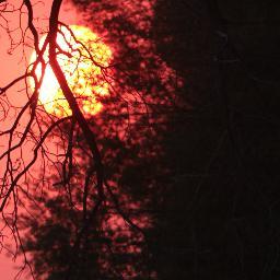 VocoderVo's profile picture. 