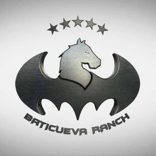 BATICUEVARANCH's profile picture. Cabelleriza donde tenemos los equinos record del coleo como lo es el Guason y la Princesa y donde tenemos grandes equino para el coleo