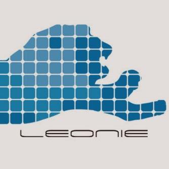 Leonie is a highly specialized communications, analysis, information systems, cyber, and research operations firm.