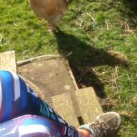 Jojo Dawes (@jojo_dawes) 's Twitter Profile