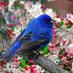 mehdi joon (@mahdilook57) Twitter profile photo mehdi joon (@mahdilook57) Twitter profile photo
