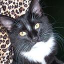 Beth McCue - @IndieMcQ - Twitter