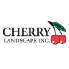 CherryLandscape Profile Picture