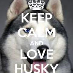 Ww_Robert_wW's profile picture. 