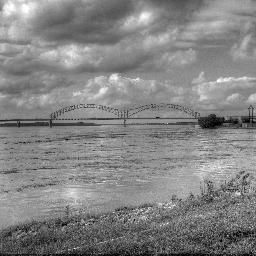 MemphisGrizznes's profile picture. A Memphis Grizzlies Playoffs Fan Blog