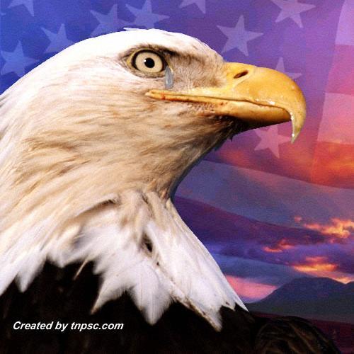 CKeysworth's profile picture. 