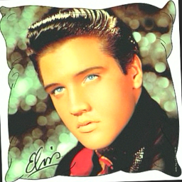 SolribTommy's profile picture. 