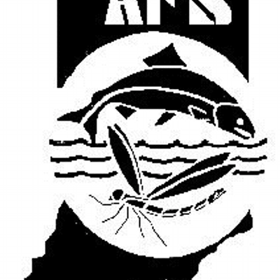 INAFS1970's profile image