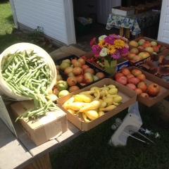 We raise vegetables to share with the hungry in the Tri-County area.