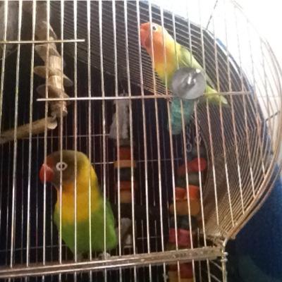 MareeOwner's profile picture. 