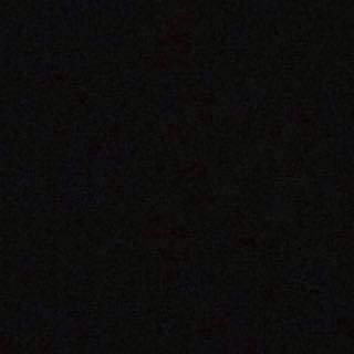 WrecklessCollin's profile picture. 