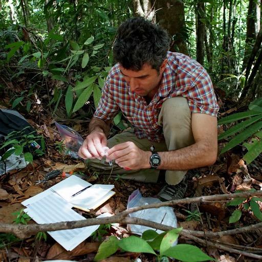 Associate Professor at UC Davis. Evolutionary biology. Bee Biology. Speciation. Chemical Ecology. Plant-Pollinator interactions. Comparative Genomics.