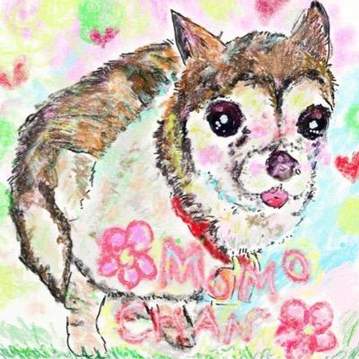 kkuroda5260's profile picture. 困窮者の相談支援の活動に参加しています。時々ギター弾き語ります。好きなものは、動物、植物、海、歴史、可愛いもの、キラキラするもの、本、映画、個性的な人、丁寧に作る料理……嫌いなものは、悲しいこと、心配なこと、腹がたつこと、優しくないこと、命が失われること、損得でしか物事を考えないこと。