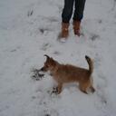 Jackie Betts - @Jax_09 - Twitter