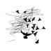 Birds Will Sing For You (@bwsfy) Twitter profile photo Birds Will Sing For You (@bwsfy) Twitter profile photo