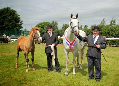 Ardglen Equestrian Profile