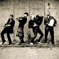 Ceilidh Experience (@ceilidhmaster) 's Twitter Profile