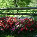 Gale Pyle - @stormy1753 - Twitter