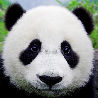 AdrienTrizer's profile picture. 