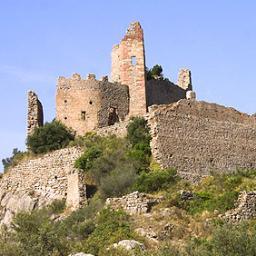 Socialciencies's profile picture. 