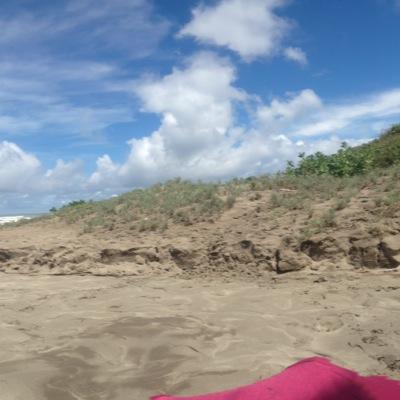 tsybunai's profile picture. 