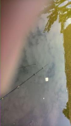 kangpopong's profile picture. 