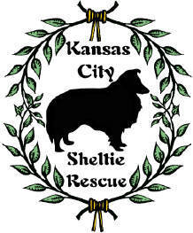 We are a not-for-profit organization that rescues shelties & finds great fur-ever homes for them!