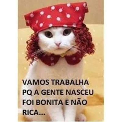 FabiolaPiva's profile picture.