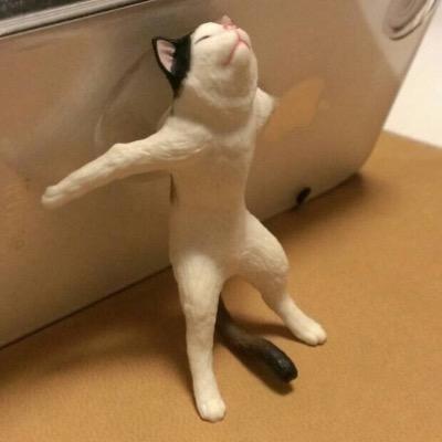 Funpaelut's profile picture. ケモナーです，無言です.