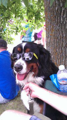 SorensenPam's profile picture. mom, wife, ww leader, family cheerleader