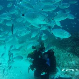 beckybreeden1's profile picture. 