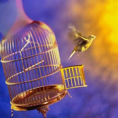 Kalo_ali66's profile picture. ‏‏‏قف دون هدفك فى الحياة مجاهد.  .                                إن الحياة عقيدة وجهاد