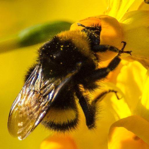 edoc0's profile picture. 