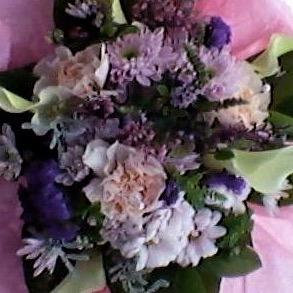 lilacwheelz's profile picture. Wheelchair user & Coeliac