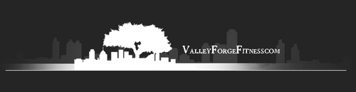 ProjectSELFFY's profile picture. Valley Forge Fitness was created to help you enjoy outdoor fitness training while helping you discover how teamwork as well as competition preclude success.