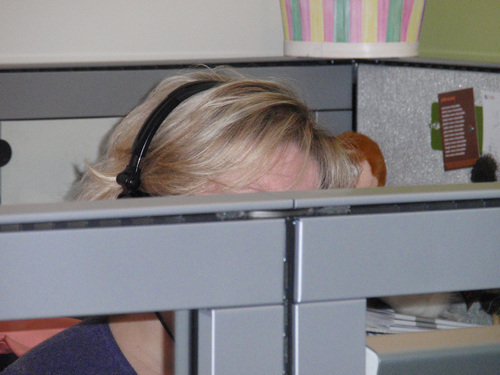 shubeedoo116670's profile picture. Designer, laugher, knitter, liberal (NEVER T****er!), INFP, chocoholic (not necessarily in that order)