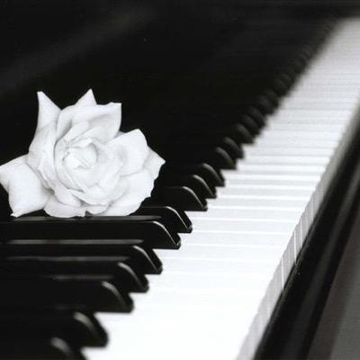 TeamFacos's profile picture. I'm an entrepreneur. #networkmarketing #mlm expert,  #gold specialized, like #piano music