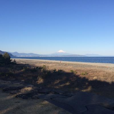 t8cFsql9vp3lVYt's profile picture. 