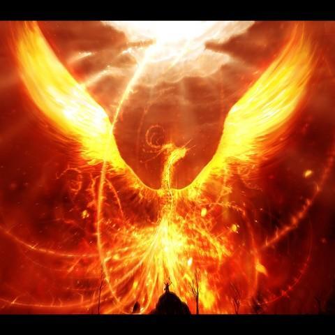 groove96's profile picture. 