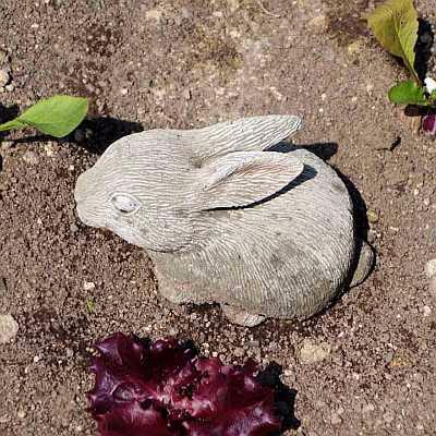 vaiorabbit's profile picture. Software engineer in the video game industry💻🐇