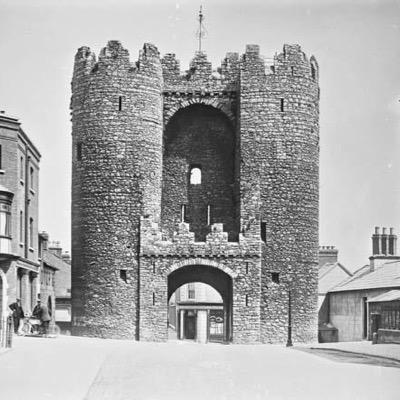 DmvcMvc's profile picture. 