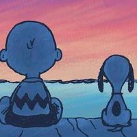 Missing Dogs Ireland (@missingdogsirl) 's Twitter Profile