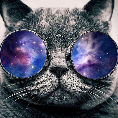 FabIntrovert's profile picture. 