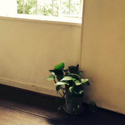 naokeyword's profile picture. 日常に溶け込む気持ちをつぶやいてこ。

art,medieval history,HRM,career,cafe