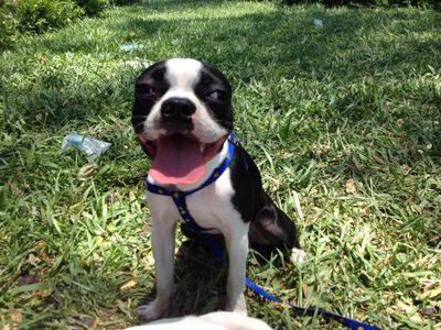 Jhoinospina's profile picture. 