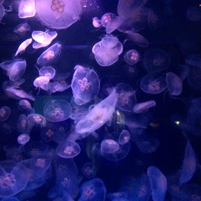 coloris_'s profile picture. 