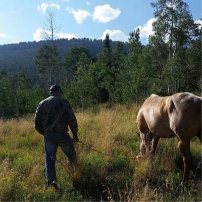 StepanoffSean's profile picture. father, husband, small business owner, naturalist, hunter.