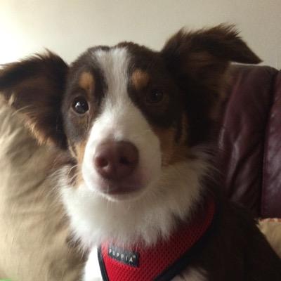 rome_jason's profile picture. 