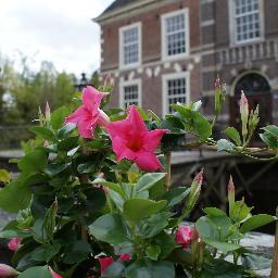 Vier eeuwen tuinarchitectuur en van
mei t/m september spectaculaire zandsculpturen.
Openingstijden tuinen: di. t/m zo. van 10.30 tot 18.00 u 29 apr - 1 okt